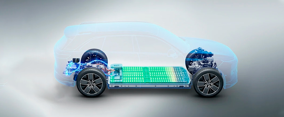 屏幕上那行字让我手一松