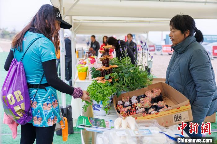 2024北京昌平·延寿越野挑战赛盛况：海内外越野