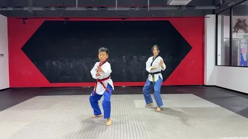 2025“少年强”跆拳道线上赛圆满收官 创历史新高